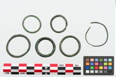Foto von Bronzering (NHMW-PRAE-025103)